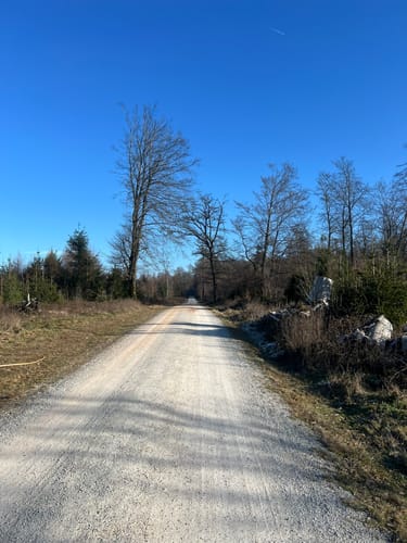 Rundwanderweg Vogel Platte