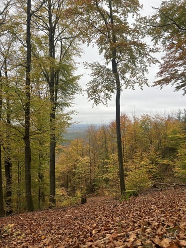Stüterhof und Weltachs Rundweg