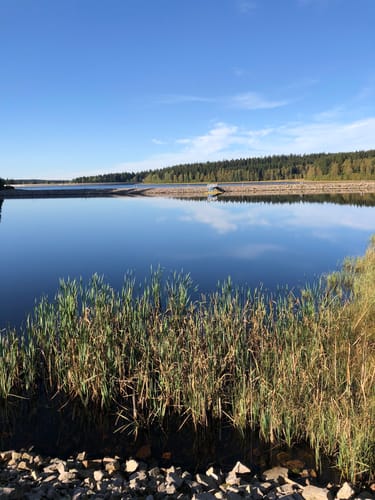 Talsperre Muldenberg