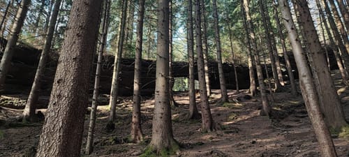 Alte Tambacher Talsperre Rundwanderung