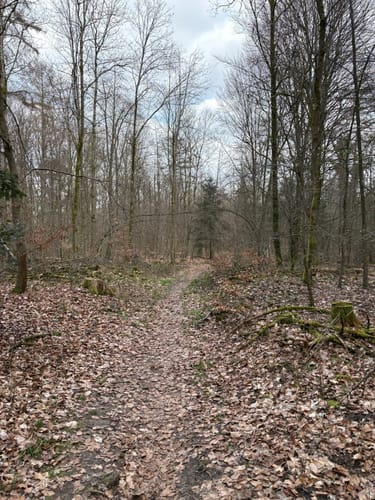 Um den Ziegenberg und Scharfeberg