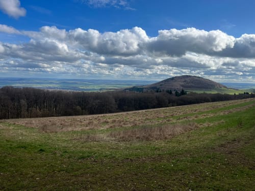 Waldseepfad Rieden (Traumpfad)
