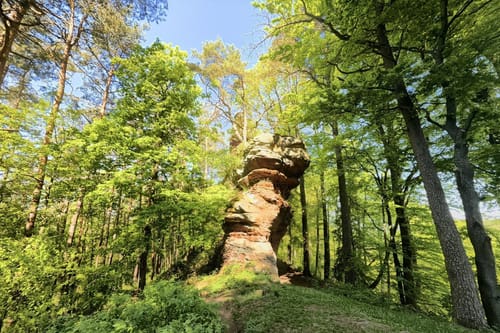 Busenberger Holzschuhpfad (Premiumwanderweg)