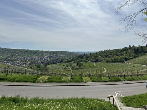 Weinwanderweg Untertürkheim