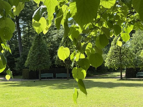 Schlosspark Benrath