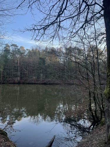 Königsforst Rundweg