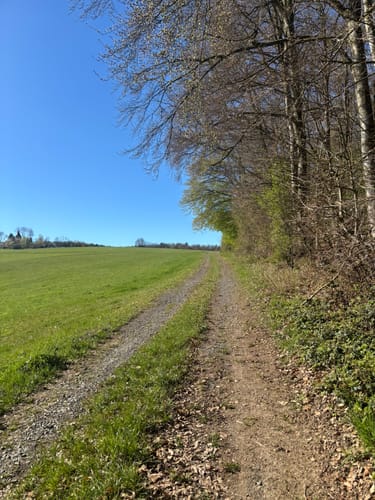Zeit-Reise-Weg Kircheib (Erlebniswege Sieg)