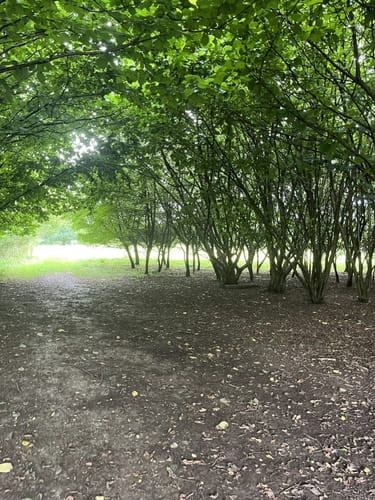 Kleine Felsenmeerrunde