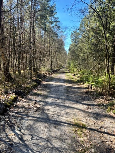 Nordic Walking 30L Bispingen