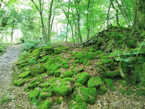 Cross Rad Wandertour mit Teufelskanzel Aussicht zum Neckar