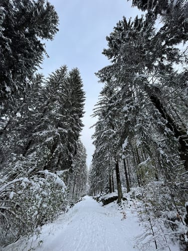 Naturlehrpfad "Oberes Weißmaintal"