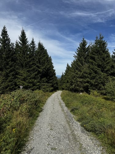 Fichtelsee - Schneeberg - Ochsenkopf