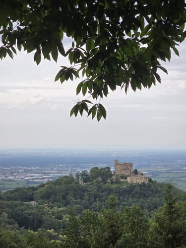Hambacher Schloss - Hohe Loog