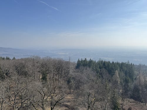 Kastell Saalburg - Herzberg