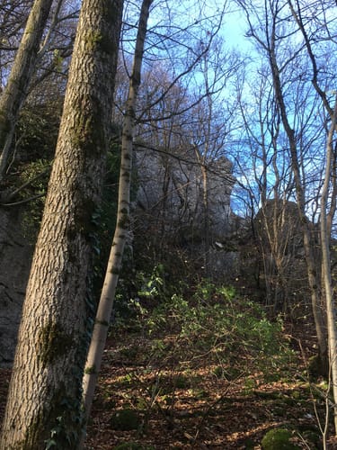 Rund um Frankendorf