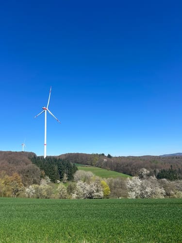 Zum Fallen Berg ab Steinbach am Glan