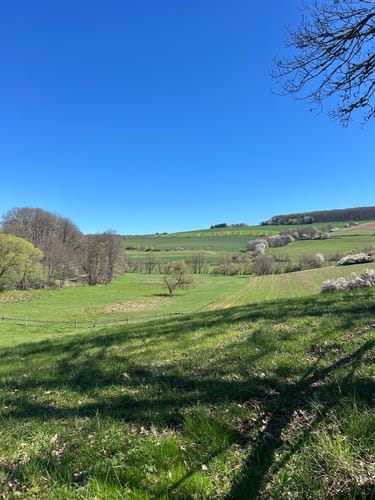 Zum Fallen Berg ab Steinbach am Glan