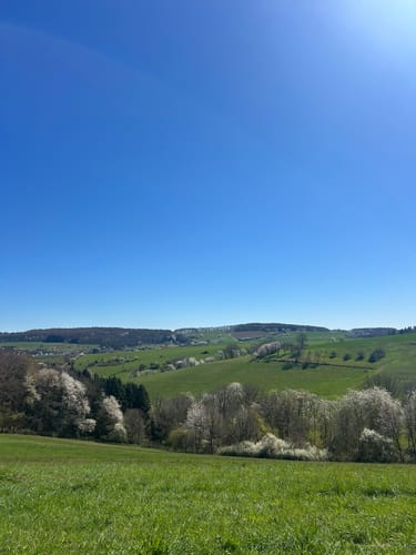 Zum Fallen Berg ab Steinbach am Glan