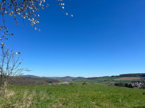 Zum Fallen Berg ab Steinbach am Glan