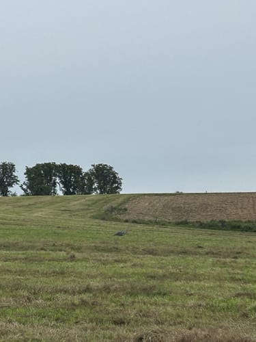 Grafen und Mönchsweg