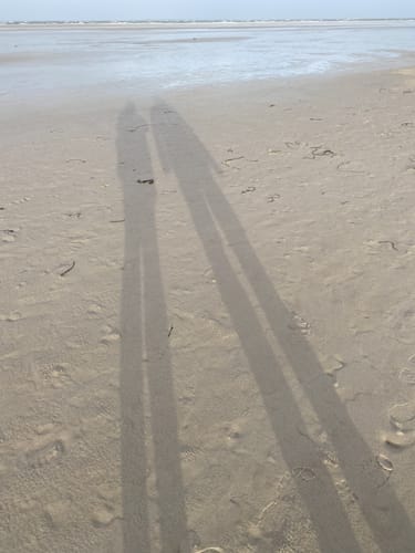 Runde bei Norddorf auf Amrum