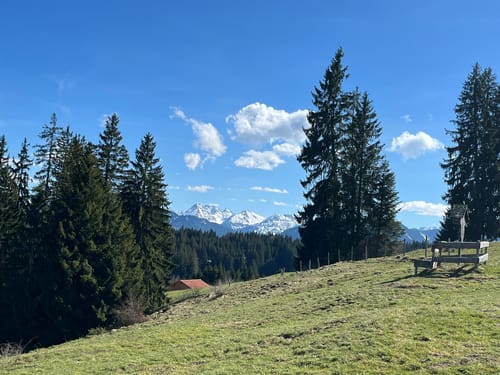 Über die Ellegghöhe durch den Berschwald