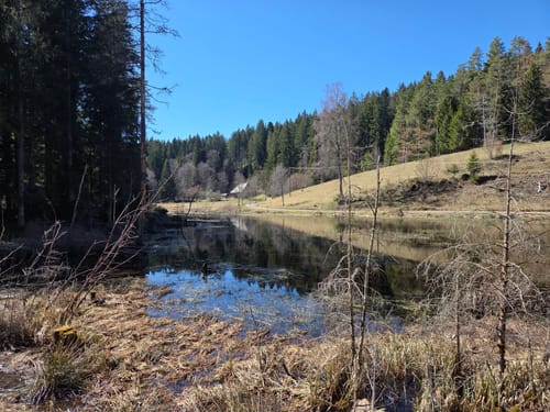 Zum Mathisleweiher