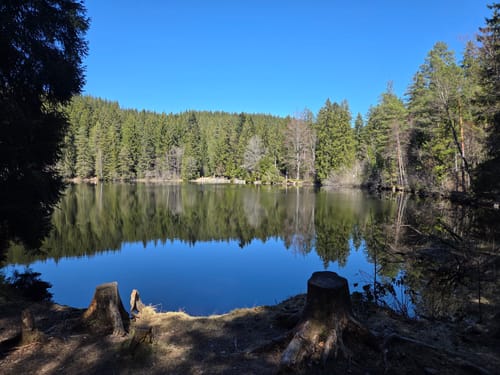 Zum Mathisleweiher
