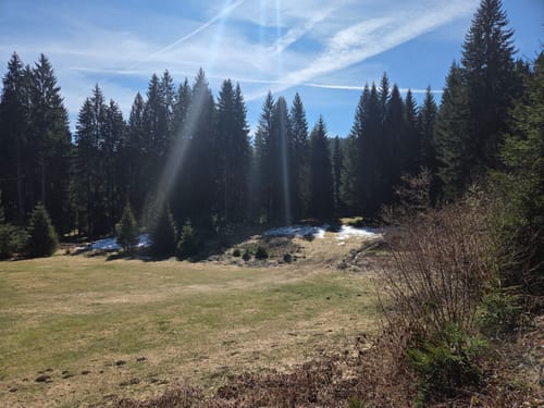 Zum Mathisleweiher