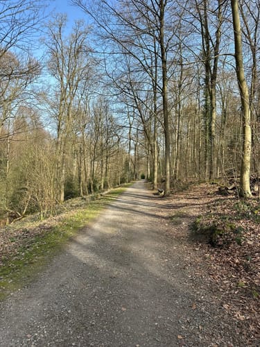 Wanderung im Essener Süden