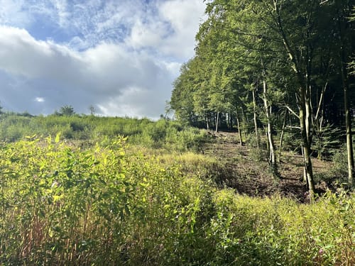 Weites Wasserland (D6)