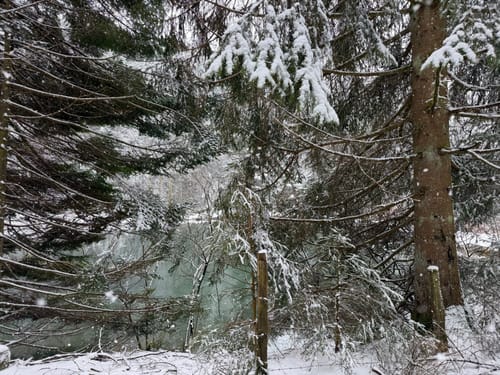 Kahler-Asten-Steig (Premiumwanderweg)