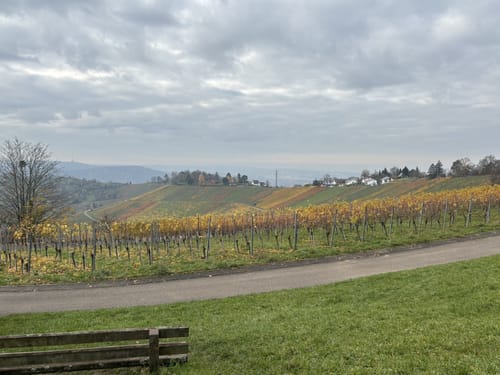 Von Obertürkheim über die Weinberge