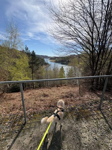 Rundweg D4 - Naturwelten