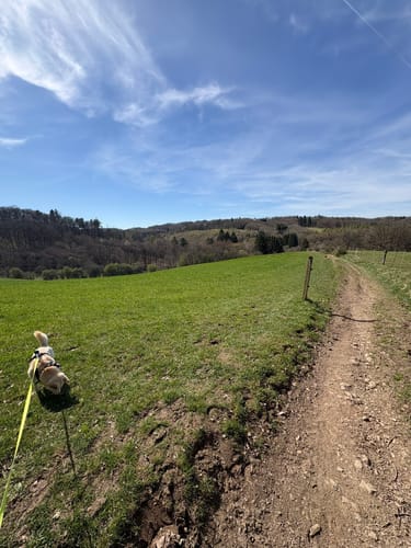 Rundweg D4 - Naturwelten
