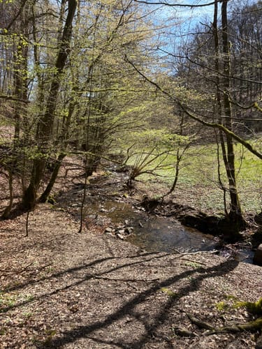 Rundweg D4 - Naturwelten