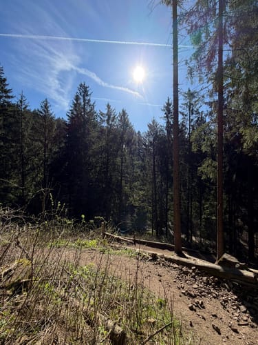 Teutoburger Wald: Kammweg und Sachsenweg