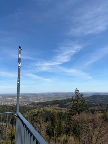 Teutoburger Wald: Kammweg und Sachsenweg