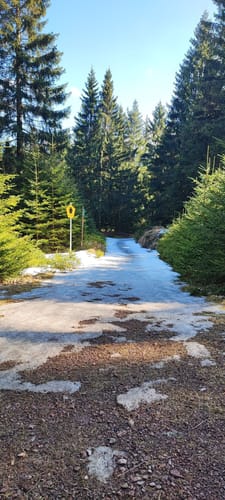 Zum Forsthaus Sattelbach