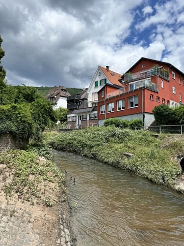 Neckarsteinach - Burg Schadeck [CLOSED]