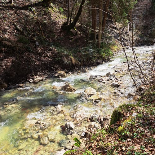 Von Oberwössen zur Feldlahn-Alm