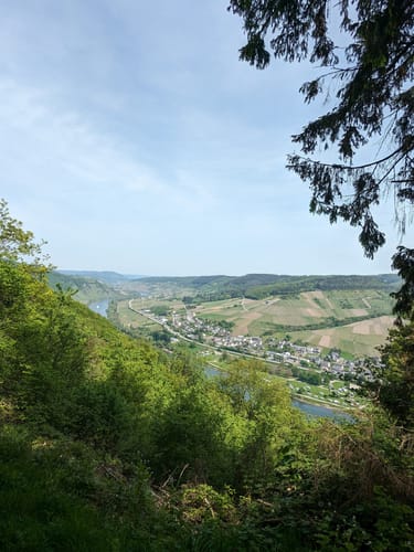 Rund um die Ruine Mont Royal