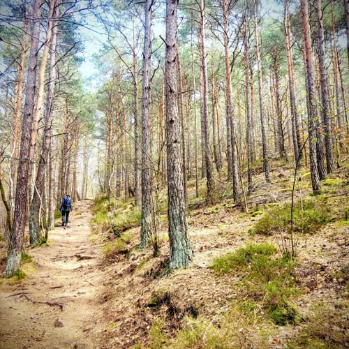 Kurpfalz Eckopf Rundtour