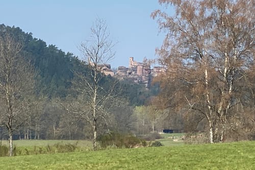 Wald-Erlebnisweg Schindhard
