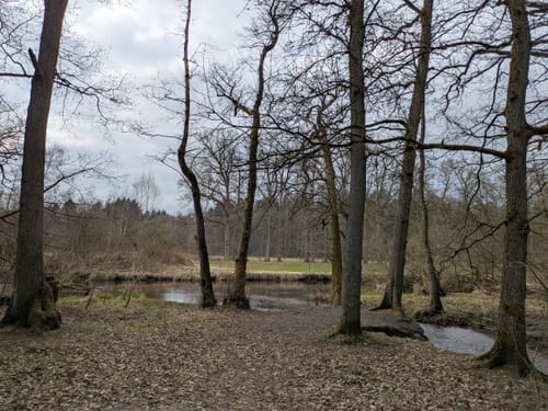 Südheide: Wo Eisvogel und Fischotter Gute Nacht sagen (mittlere Tour)