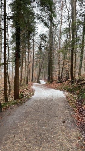 Rund um den Küchensee