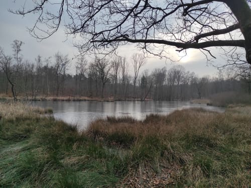 Kleine Runde in der Haardt