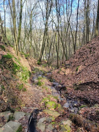 Michels Vitaltour (Premiumwanderweg)