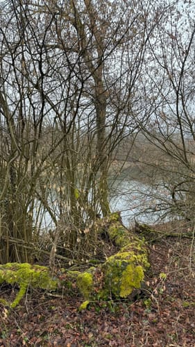 Schwaderloch - Rheinkanal