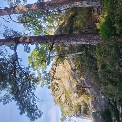 Auf Felsenwegen von Hornberg zu den Schlossfelsen